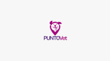 My Website